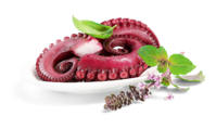 Pulpo gekocht
