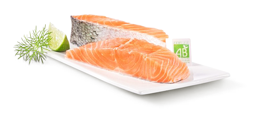 Lachsfilet bio Lachsfilet bio