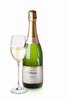 Champagne Dallmayr Premier Cru Brut Champagne Dallmayr Premier Cru Brut