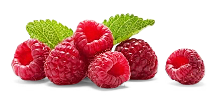 Himbeeren 