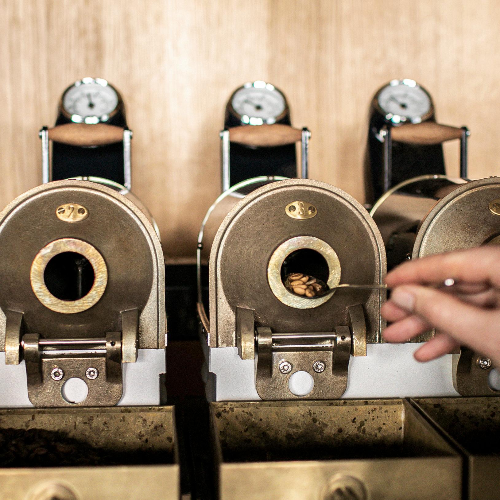 SCA-Barista Intermediate