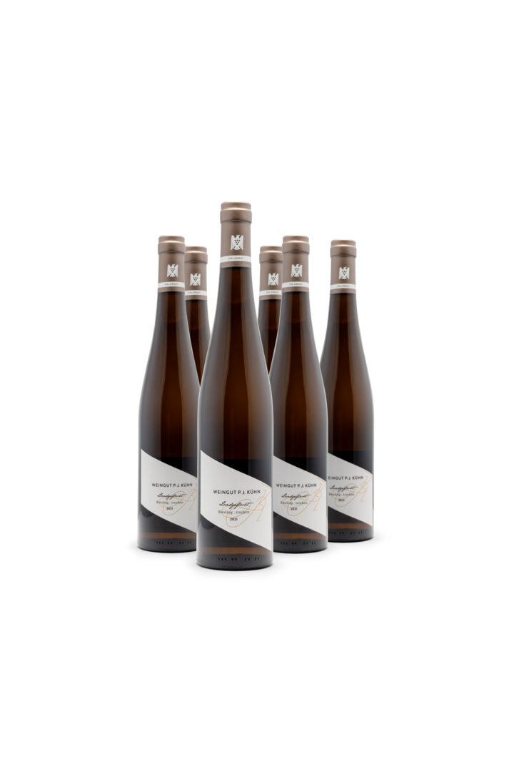 2021 Landgeflecht Riesling trocken PJK. Unikat