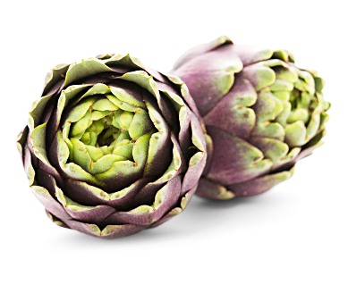 Artischocken 