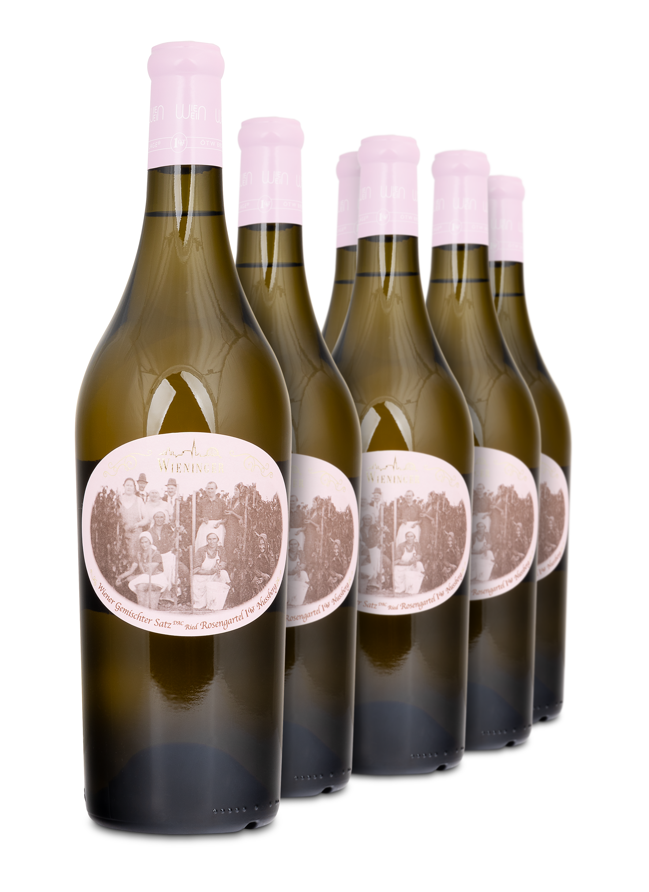 2022 Ried Rosengartel Nussberg Wiener Gemischter Satz DAC