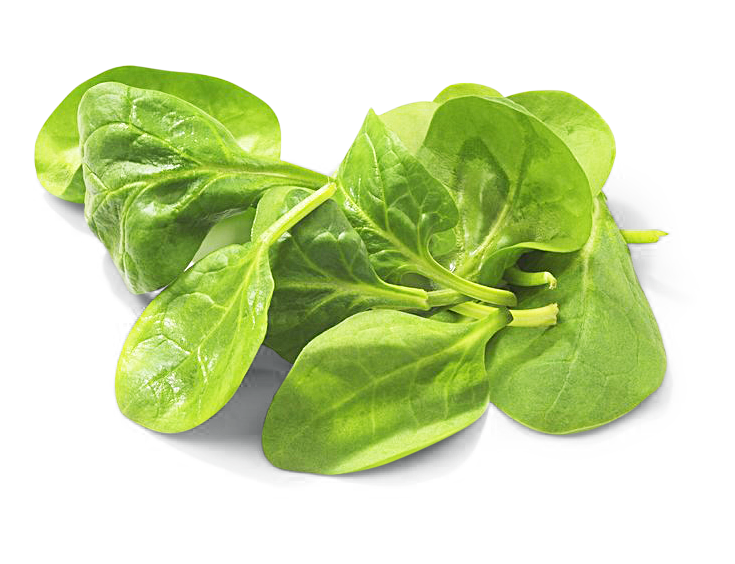 Spinat 