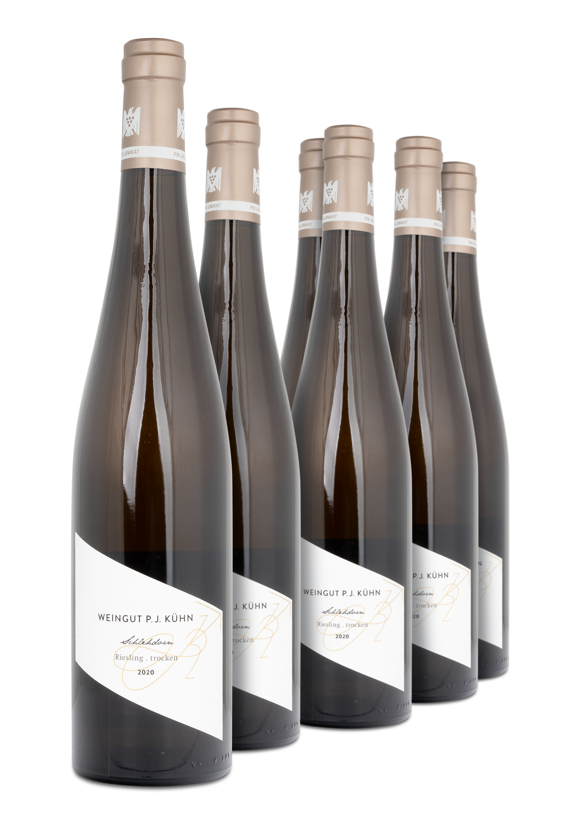 2020 Schlehdorn Riesling trocken PJK. Unikat