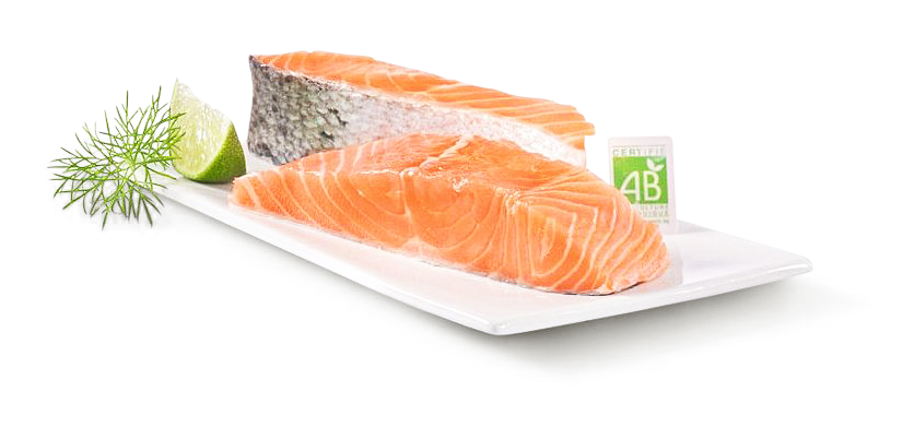 Lachsfilet bio
 
 