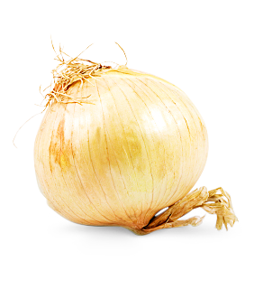 Zwiebel süß 