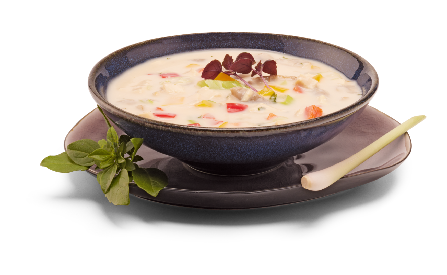 Thailändische Kokossuppe mit Huhn - Tom Kha Gai