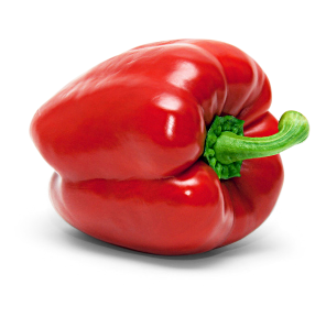 Paprika rot
 
