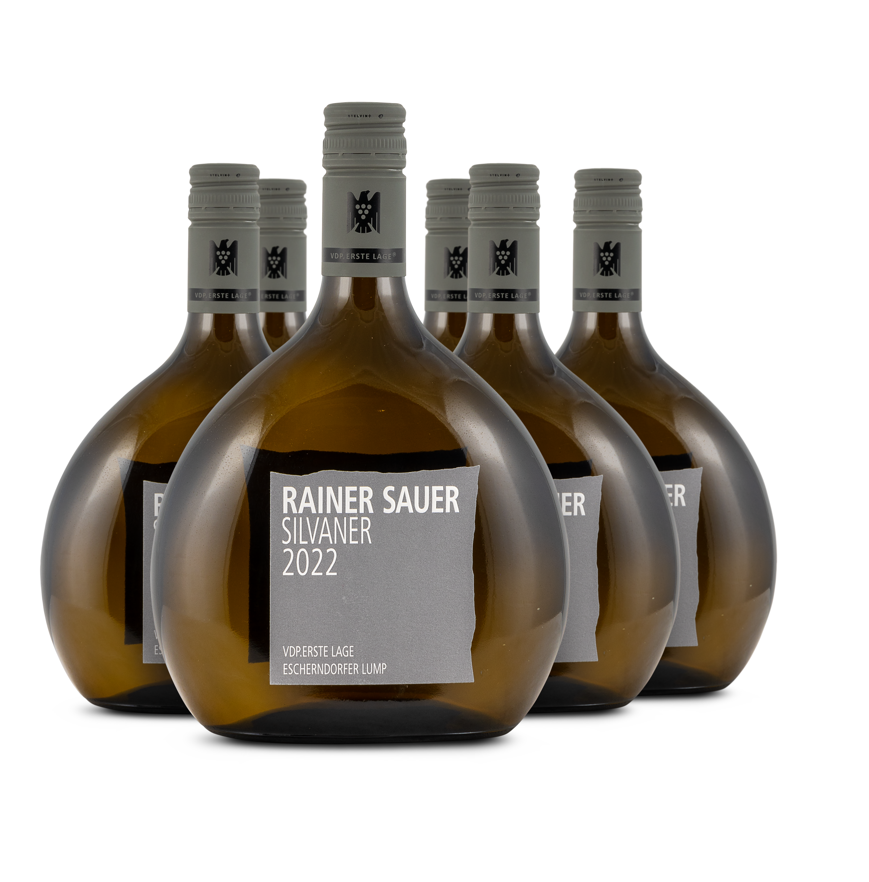 2022 Escherndorfer Lump Silvaner trocken