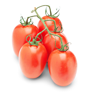 Cocktailtomaten Eier-Strauch 