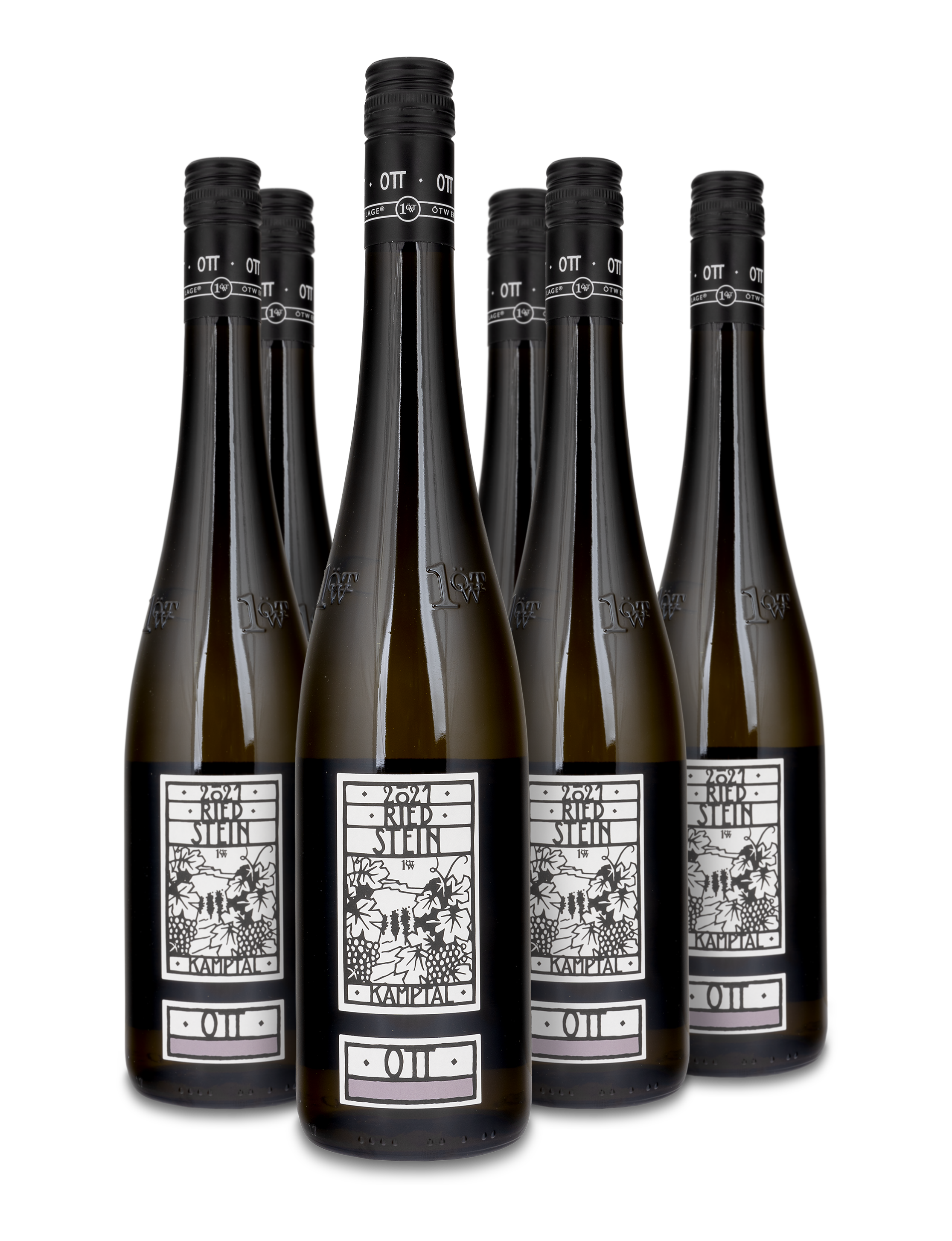 2019 Grüner Veltliner "Ried Stein Engabrunn"