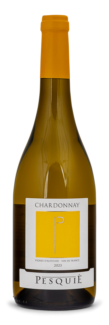 2023 Chardonnay