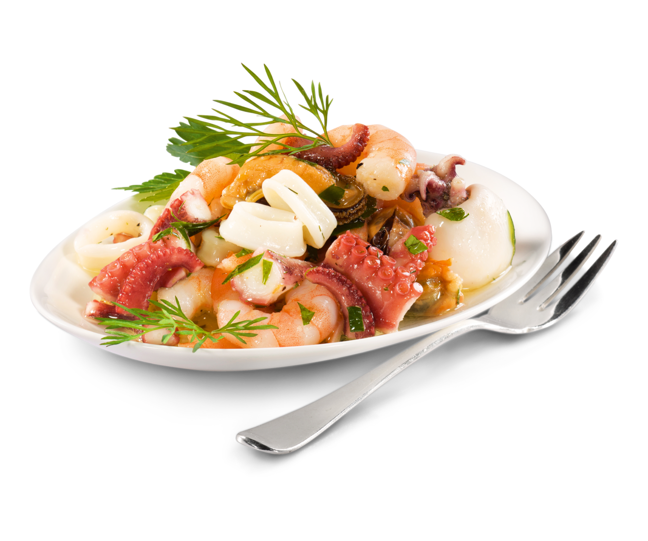 Garnele, Oktopus, Muschel
 