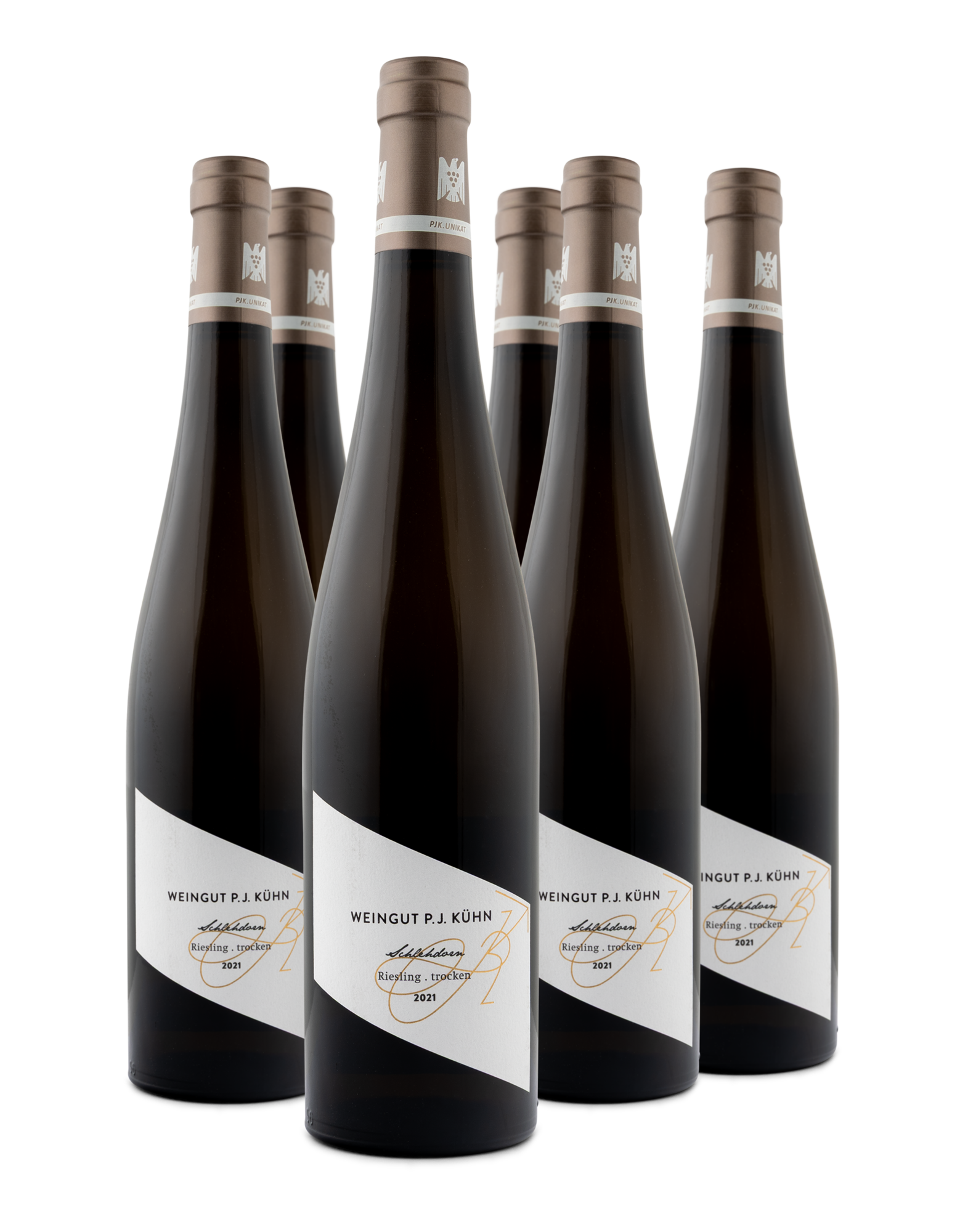 2021 Schlehdorn Riesling trocken PJK.Unikat