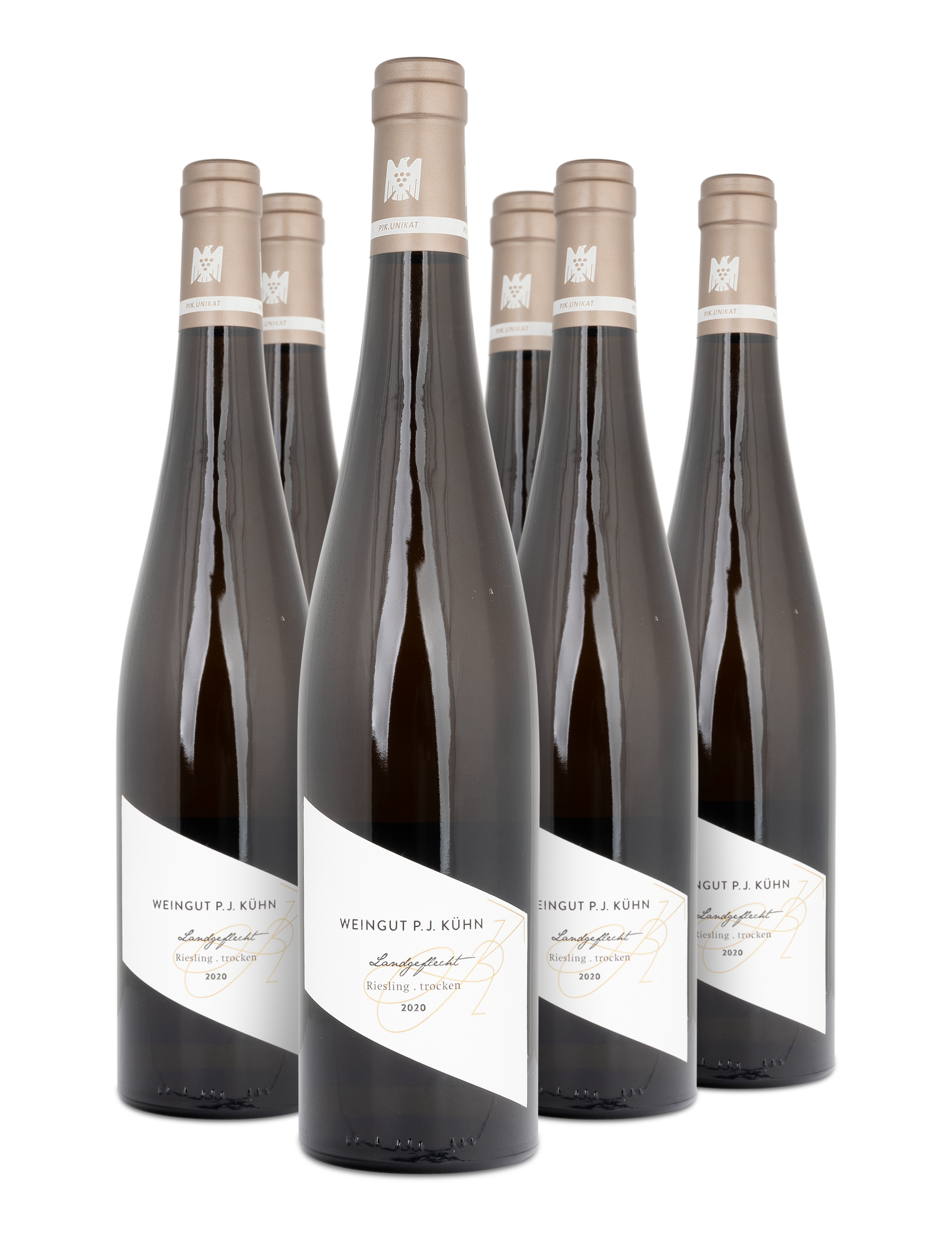 2020 Landgeflecht Riesling trocken PJK. Unikat