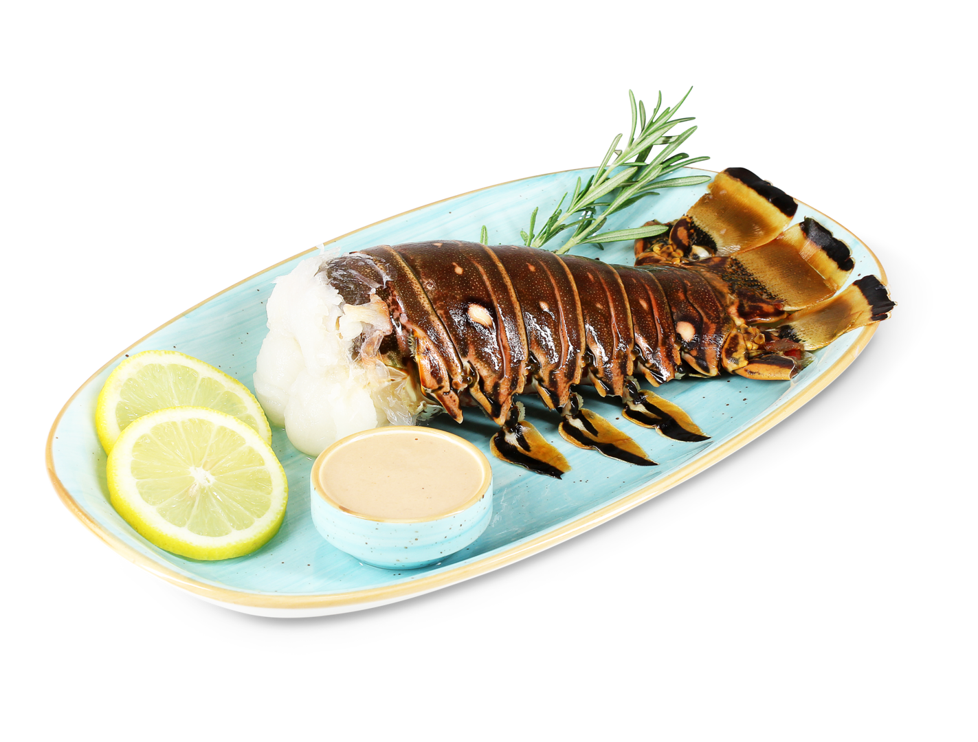 Langustenschwanz ganz, 
 Größe ca. 16 - 18 cm 