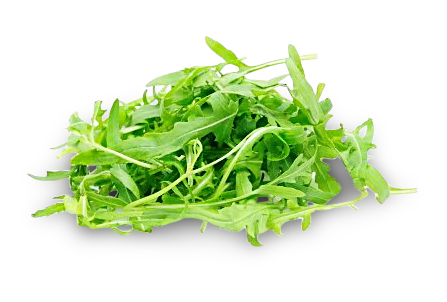 Rucola Salat
 