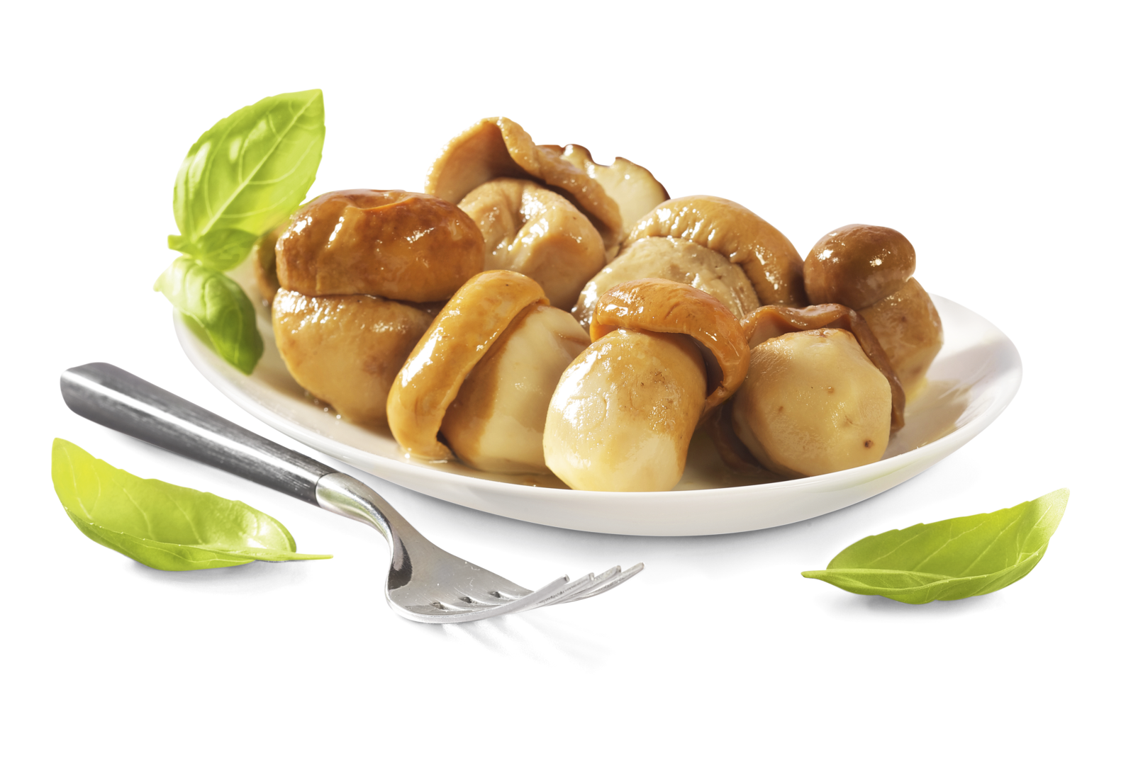 Steinpilze in Olivenöl Piemont