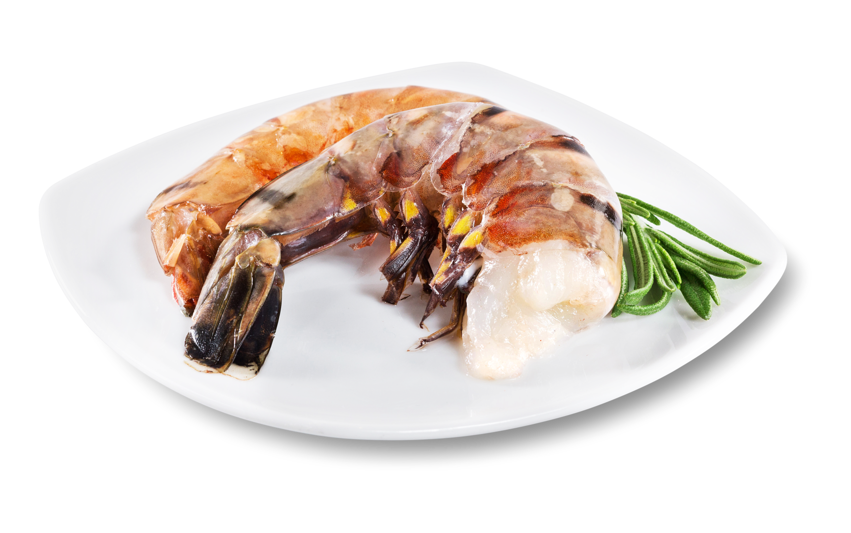 Black Tiger Garnelen 