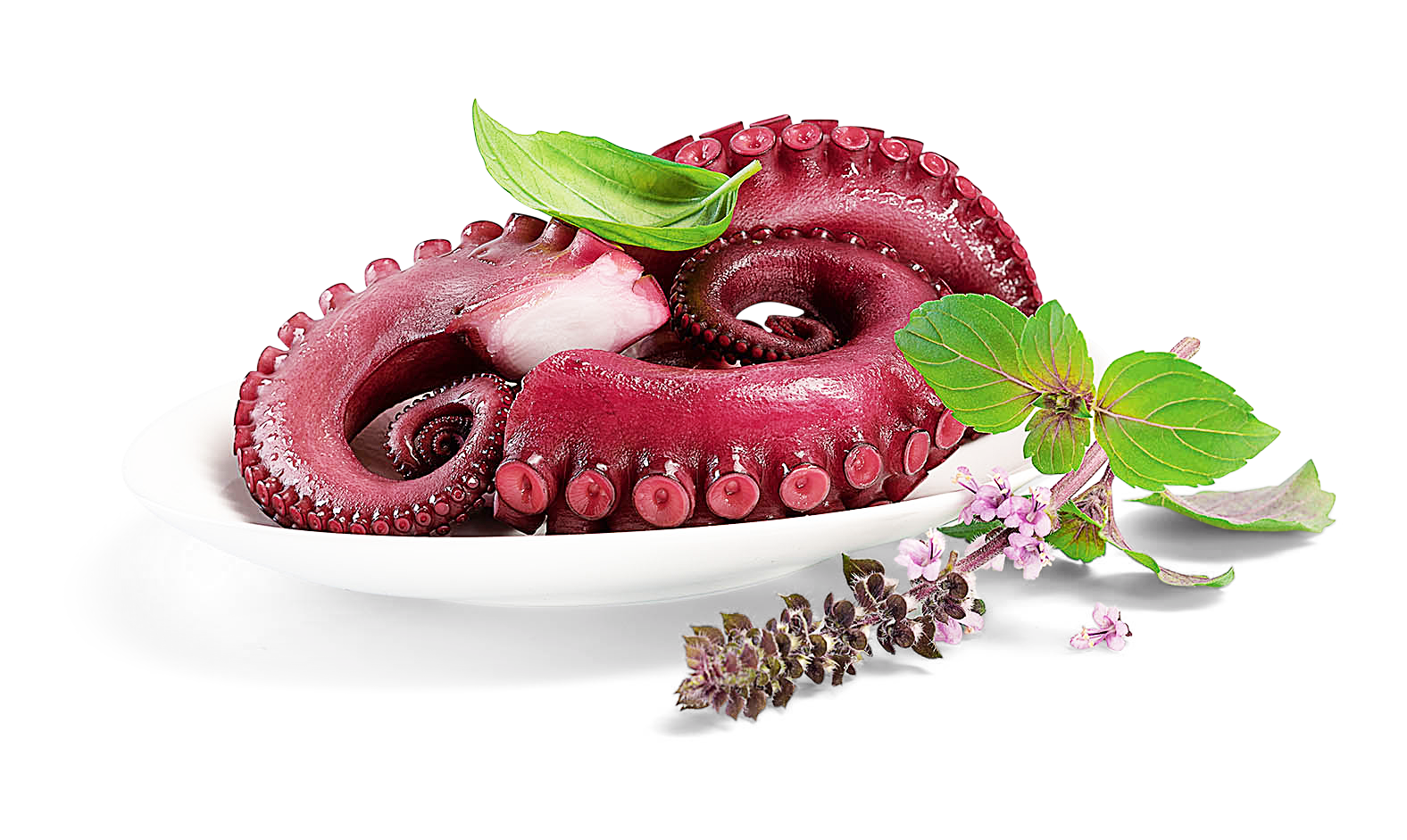 Pulpo gekocht
 