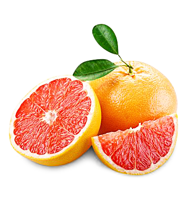 Grapefruit rot 