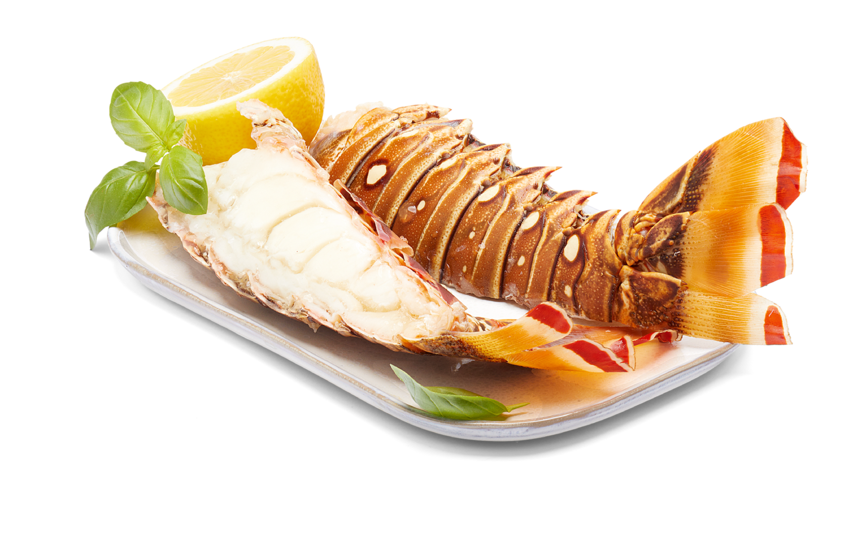 Langustenschwanz 1/2 