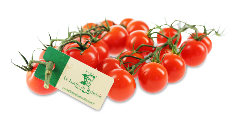 Image of Cocktailtomaten